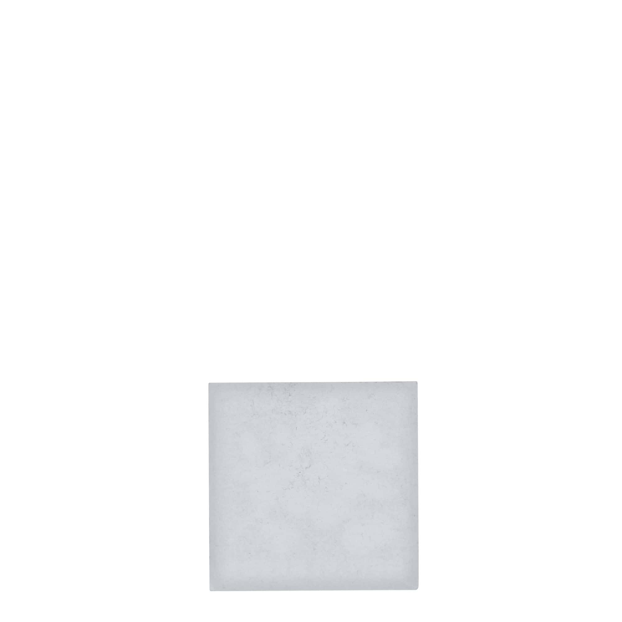 Zinnetikett 'Heidelbeere', quadratisch, Metall, silber Zinnetikett 'Heidelbeere', quadratisch, Metall, silber